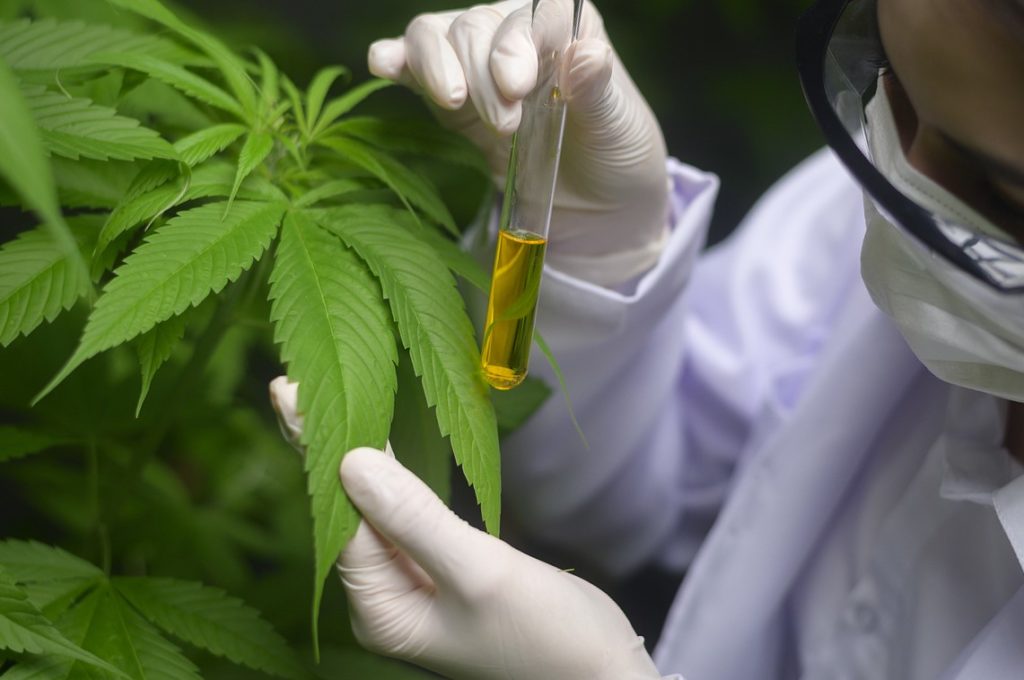 Delta 8 Show Up On A Drug Test