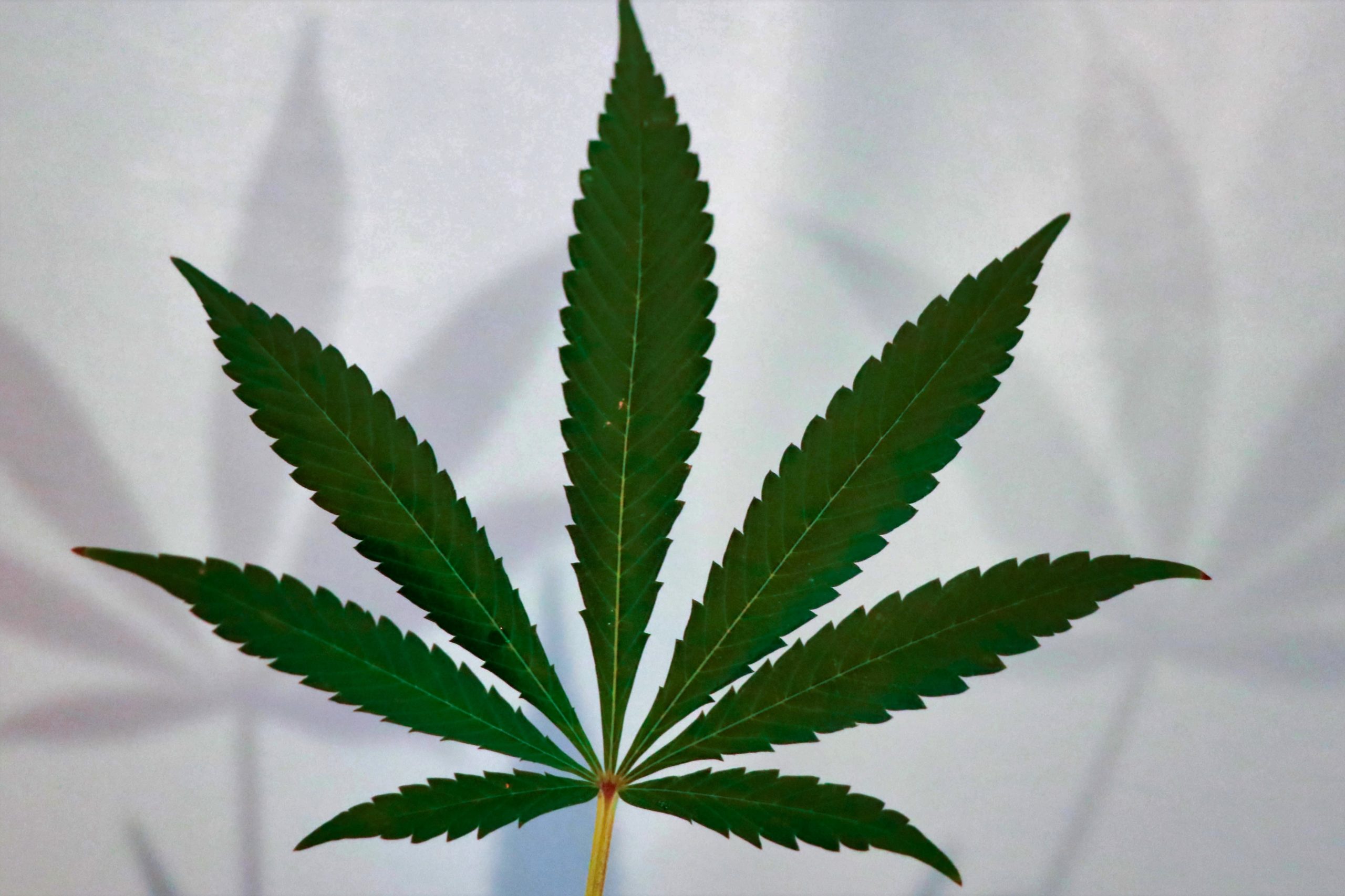 Rehab for Weed Addiction