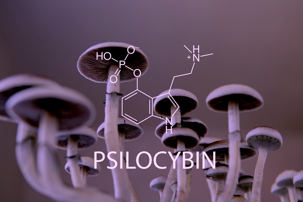 Psilocybin chemical formula mushroom.