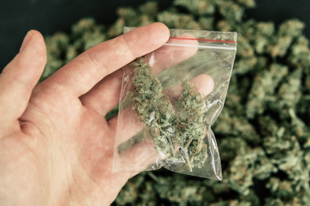 Man holding a bag of weed cannabis wondering if weed is laced